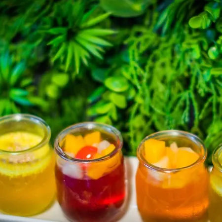 酒店 Lantier Wellness & 4*